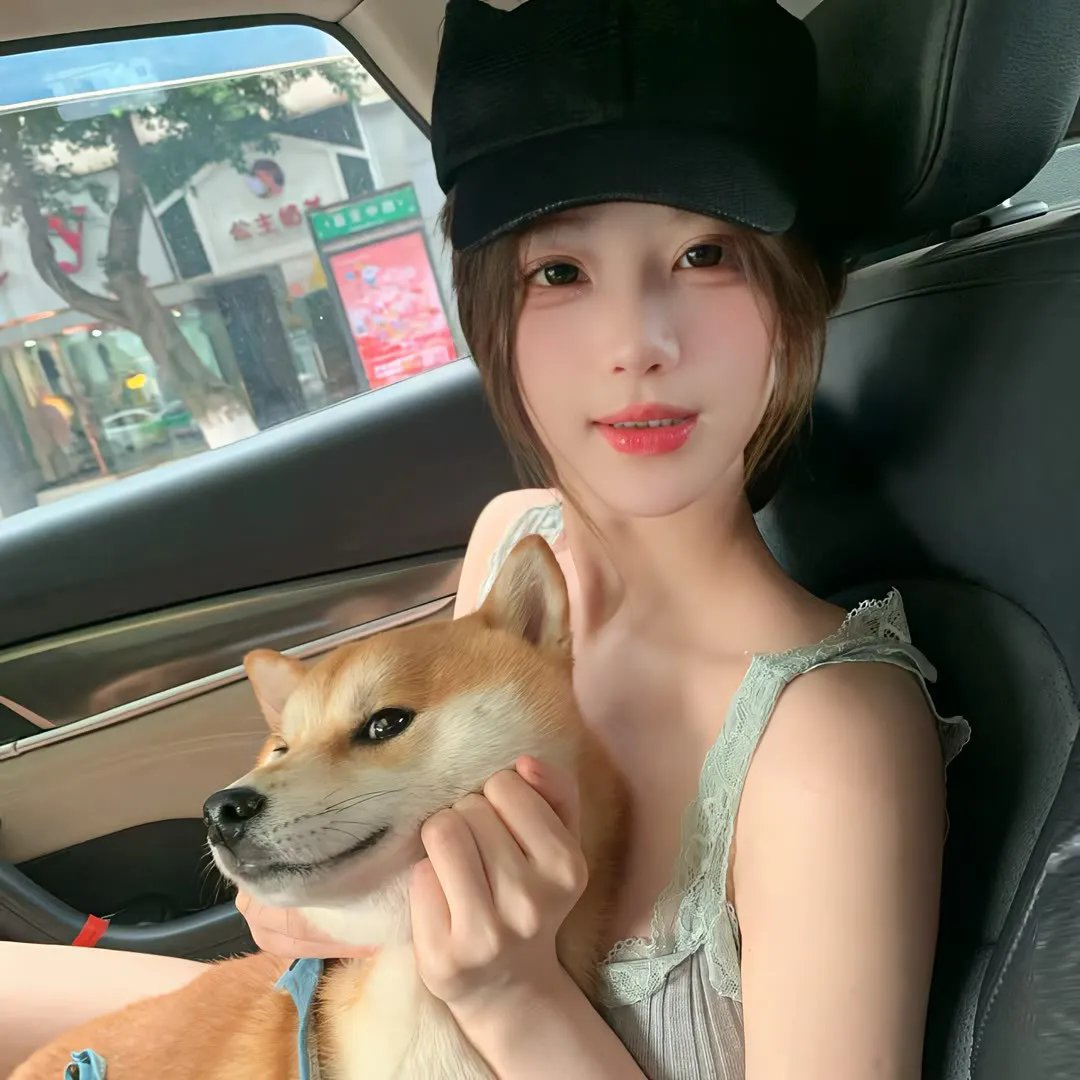 外壳
