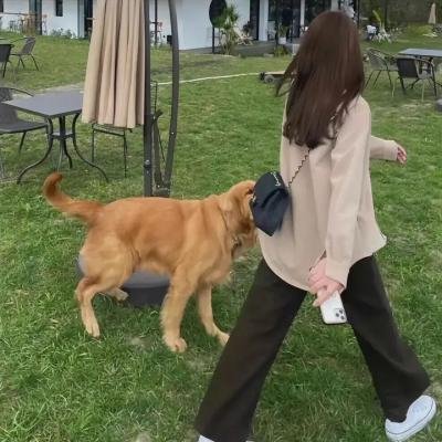 追杀骑师